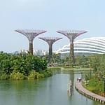 singapore 2471492 340